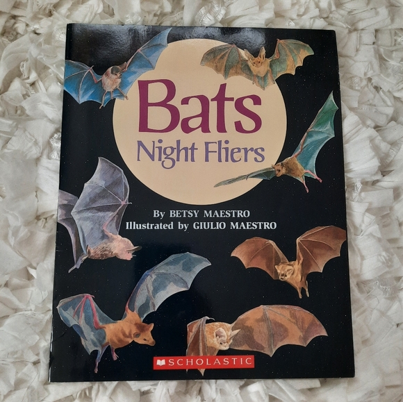 Science, Safety, Social Studies & Skills Children's Book Bundle 5 Books Used - Picture 14 of 16